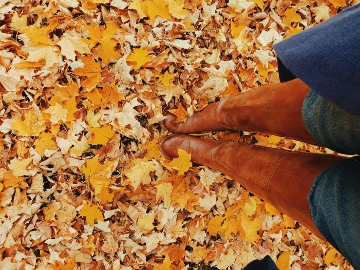 a person standing on top of a pile of leaves, by Carey Morris, trending on pexels, cowboy boots, gilmore girls aesthetic, 🌸 🌼 💮, ocher