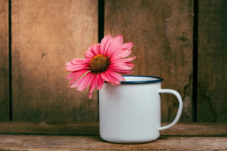 a close up of a cup with a flower in it, a still life, pexels contest winner, rustic setting, pink, enamel, blank