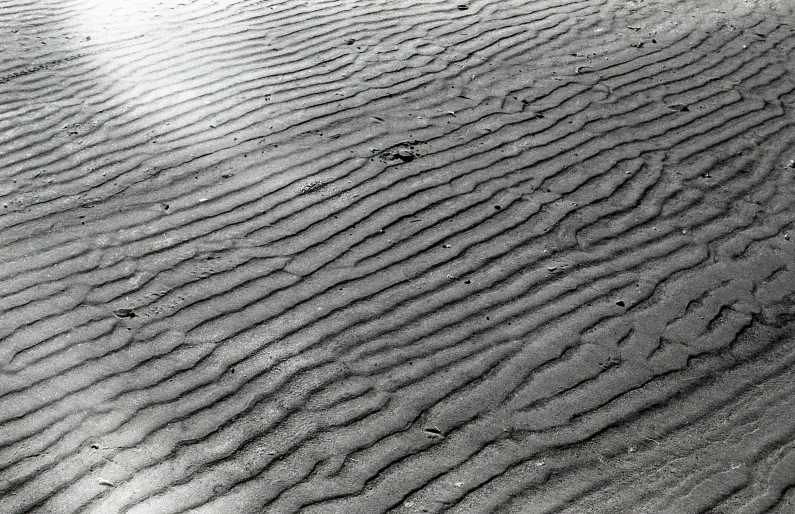 a black and white photo of a sandy beach, inspired by Edward Weston, land art, honey ripples, highly detailed # no filter, mud, sandy colors