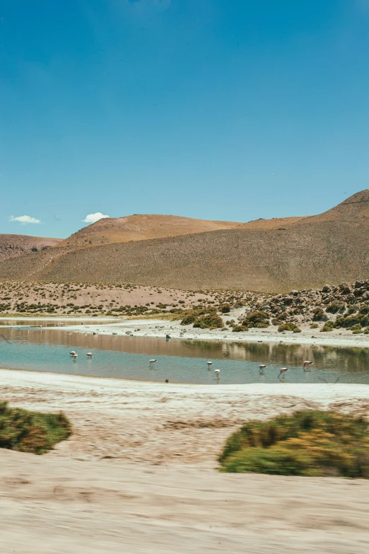 a body of water sitting in the middle of a desert, quechua, landscape from a car window, flamingoes, & a river