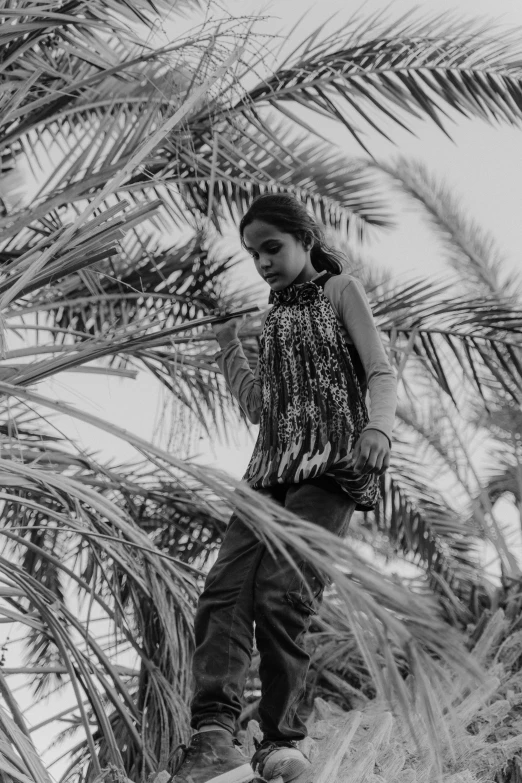 a woman standing on top of a palm tree, a black and white photo, wearing beautiful clothes, jamel shabbaz, hunting, aged 13