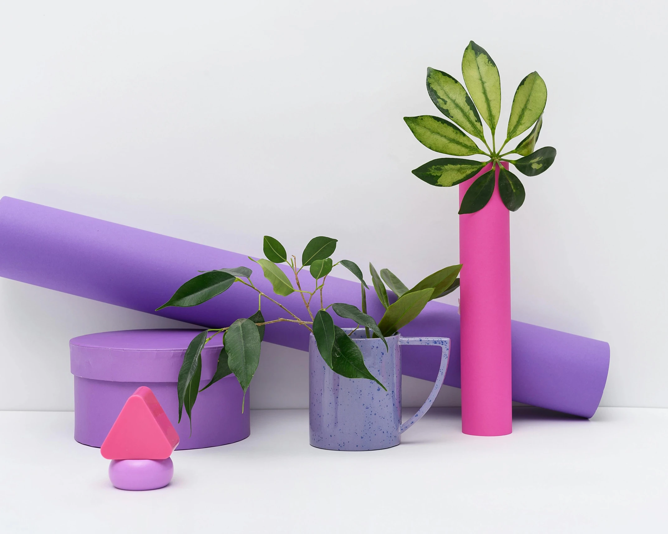 a couple of vases sitting on top of a table, neon purple, solid colours material, props containing trees, architectural and tom leaves