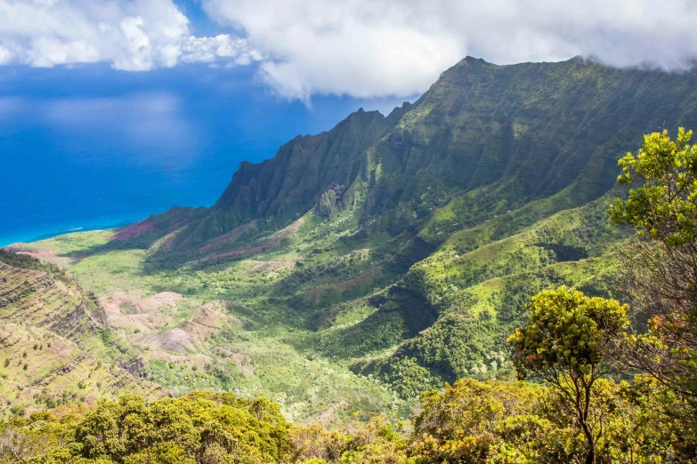 a view of the ocean from the top of a mountain, kauai, avatar image