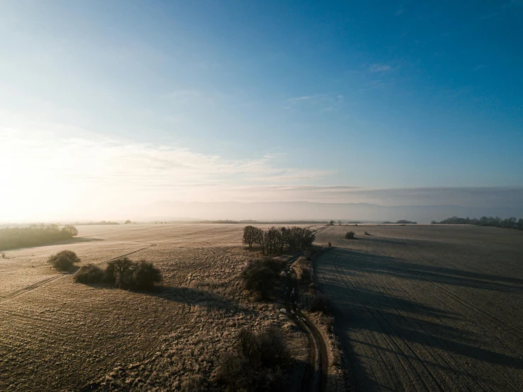 a large field with trees in the middle of it, by Sebastian Spreng, unsplash contest winner, land art, cloudless sky, winter setting, cinematic morning light, wide high angle view