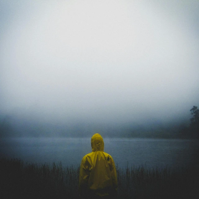 a person in a yellow jacket standing in front of a body of water, inspired by Elsa Bleda, pexels contest winner, ominous foggy environment, foggy swamp, waiting, hooded