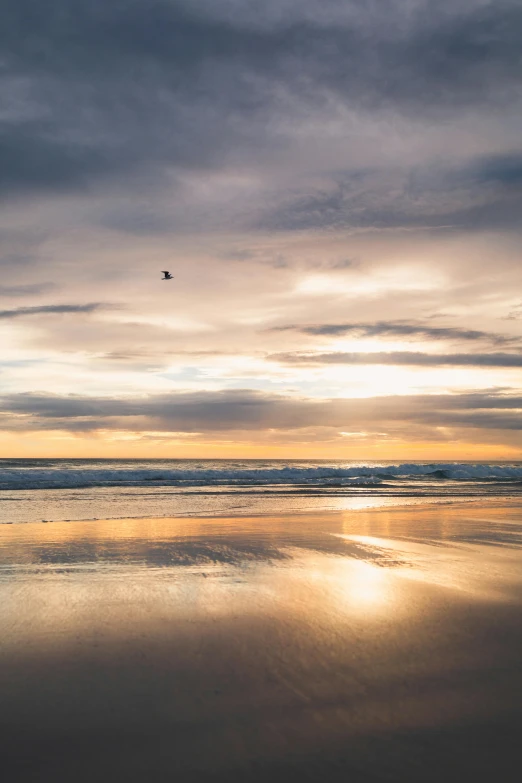 a person flying a kite on top of a sandy beach, inspired by Edwin Deakin, unsplash contest winner, minimalism, golden hour in pismo california, cloudy sunset, glassy reflections, dwell