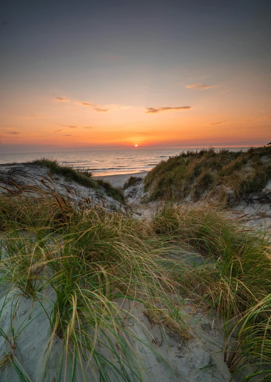 a beach with grass and sand dunes at sunset, by Jan Tengnagel, happening, square, coastline, coastal, high-quality photo