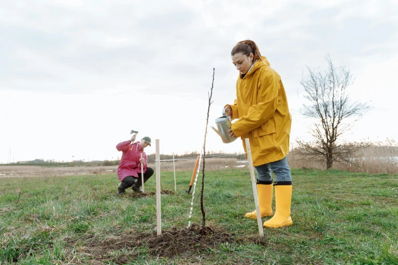 a couple of people that are standing in the grass, plant sap, hanging trees, with fruit trees, jovana rikalo