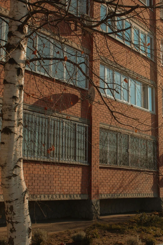 a red fire hydrant in front of a brick building, an album cover, inspired by Elsa Bleda, danube school, vray 8k, 1987 photograph, balconies, betula pendula