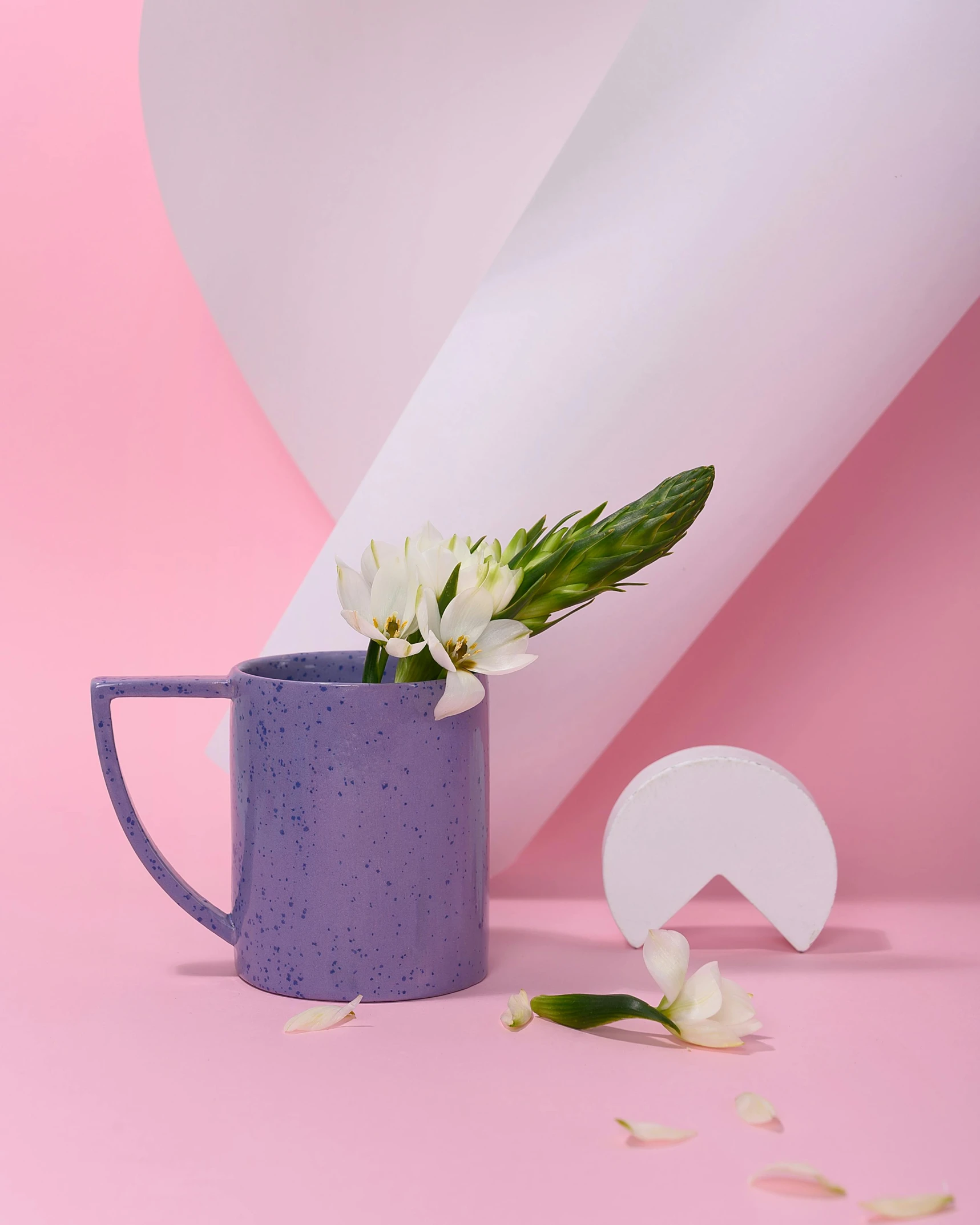 a vase filled with white flowers on top of a pink surface, inspired by Yves Klein, aestheticism, with a white mug, terrazzo, purple and blue colour palette, half moon