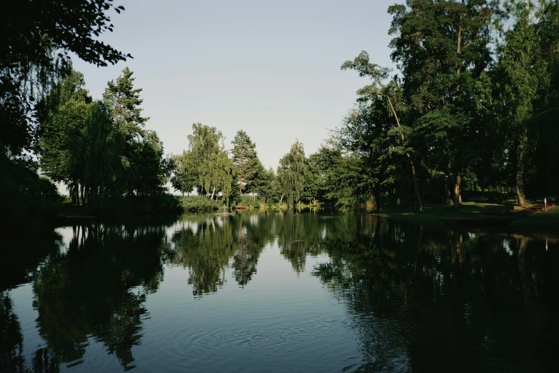 a body of water surrounded by trees on a sunny day, a picture, by Tobias Stimmer, unsplash, visual art, 2000s photo, medium format. soft light, parks and gardens, conde nast traveler photo