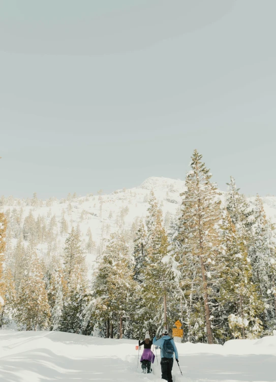 a group of people riding skis down a snow covered slope, by Brian Snøddy, unsplash contest winner, visual art, tall large trees, panoramic, central california, golden hues