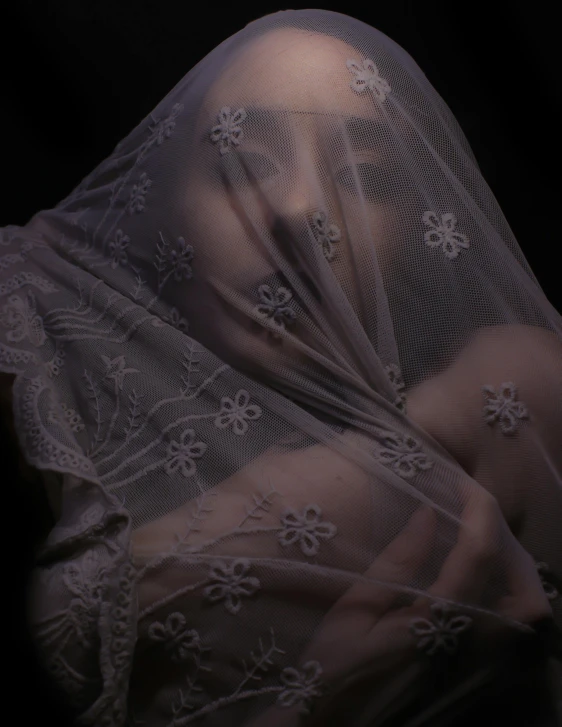 a woman with a veil covering her face, an album cover, inspired by irakli nadar, unsplash contest winner, art photography, dressed in a frilly ((lace)), non binary model, out in the dark, 🤤 girl portrait