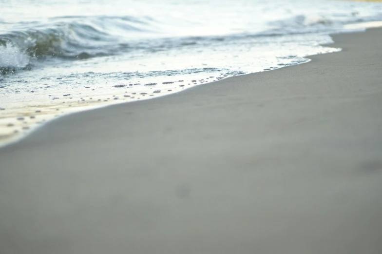 a bird standing on top of a beach next to the ocean, inspired by Max Dupain, unsplash, minimalism, unfocused, maybe small waves, 8k octan photo, soft light - n 9