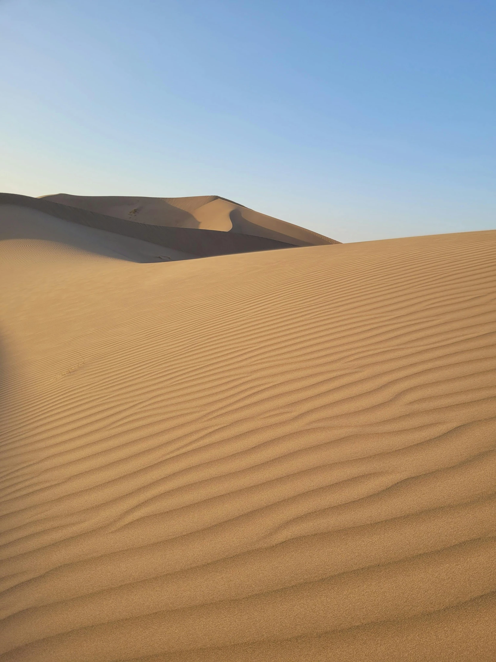 a large sand dune in the middle of a desert, light tan, higly intricate, highly detailed # no filter, from china