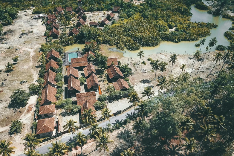 an aerial view of a resort surrounded by palm trees, a portrait, unsplash, hurufiyya, mud and brick houses, 70s photo, 🦩🪐🐞👩🏻🦳, old asian village