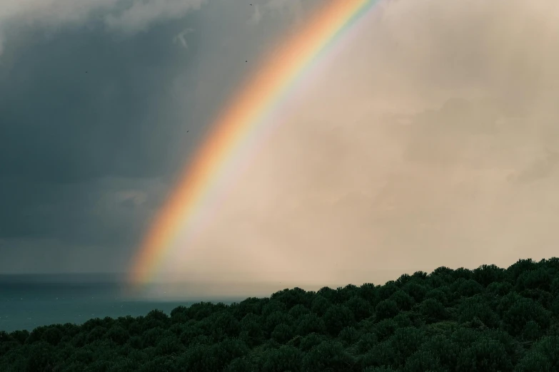 a rainbow that is in the sky over some trees, by Elsa Bleda, fan favorite, rinko kawauchi, after rain, [ cinematic