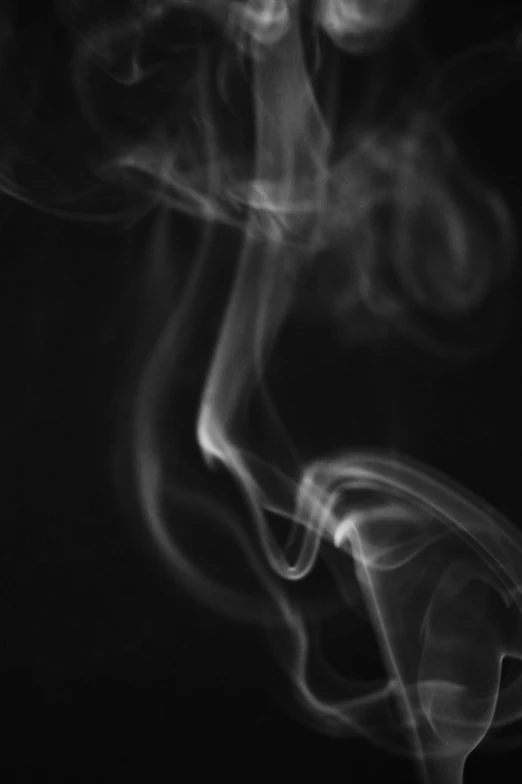 a close up of smoke on a black background, by Chris Rahn, diffuse outline, ansel ], image