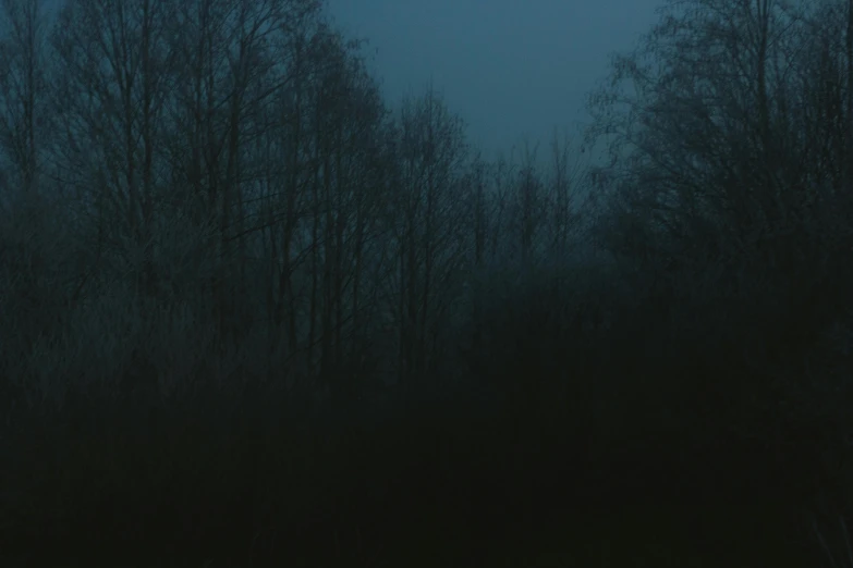 a group of trees sitting in the middle of a forest, an album cover, by Attila Meszlenyi, tonalism, blue hour, black fog, (night), dark ambient album cover