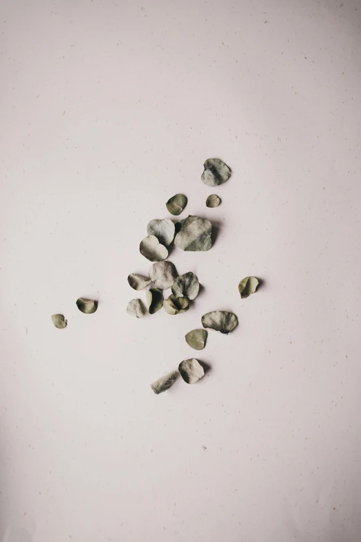 a pile of pebbles sitting on top of a white surface, a picture, unsplash, minimalism, eucalyptus, torn paper, abstract claymation, overview