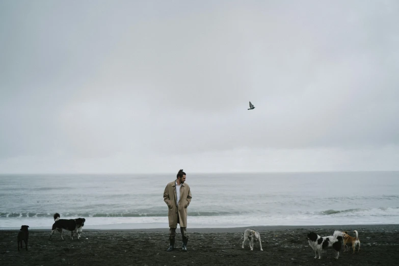 a man standing on top of a beach next to dogs, by Nina Hamnett, unsplash, grey skies rain, he wears a big coat, with great birds, black sand