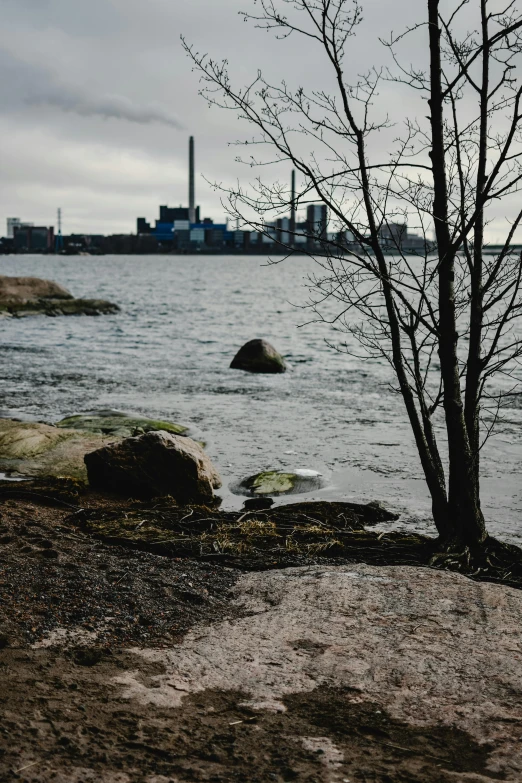 a tree near a body of water with a factory in the background, inspired by Wilhelm Marstrand, unsplash, standing on rocky ground, overcast day, the sea seen behind the city, portrait of tall