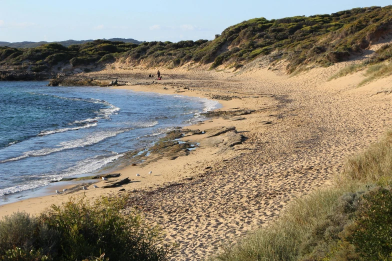 a sandy beach next to the ocean on a sunny day, by Lisa Milroy, pexels, les nabis, sydney park, 2 5 6 x 2 5 6 pixels, agrigento, sunken