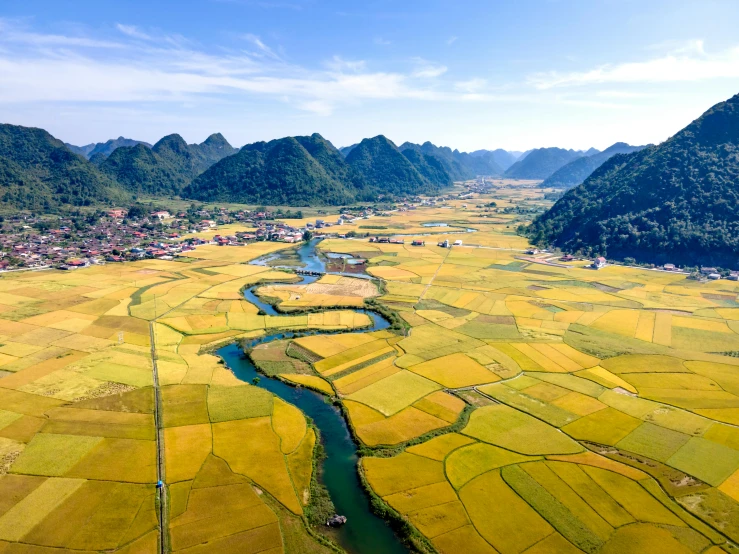 a river running through a lush green valley, pexels contest winner, ao dai, yellow, farmland, epic land formations