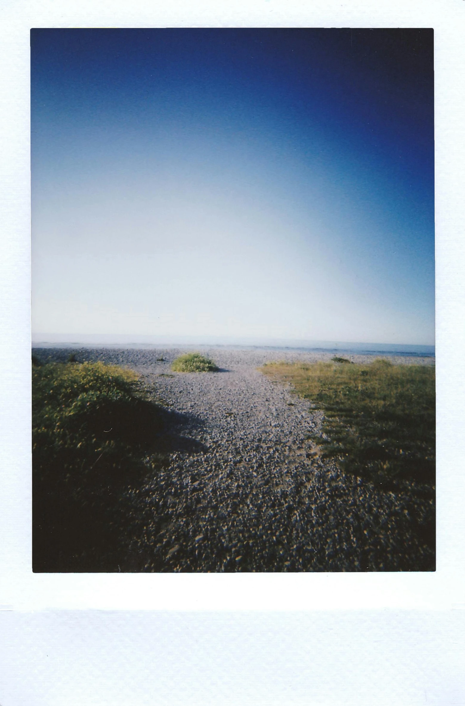 a polaroid picture of a path leading to the ocean, by Nathalie Rattner, low quality photo, clear sky, rocky ground, noise film photo