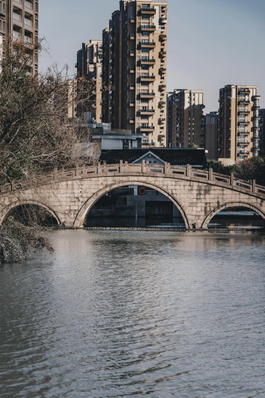 a bridge over a body of water with tall buildings in the background, by Shang Xi, aqueduct and arches, parks and lakes, houses and buildings, unsplash photography