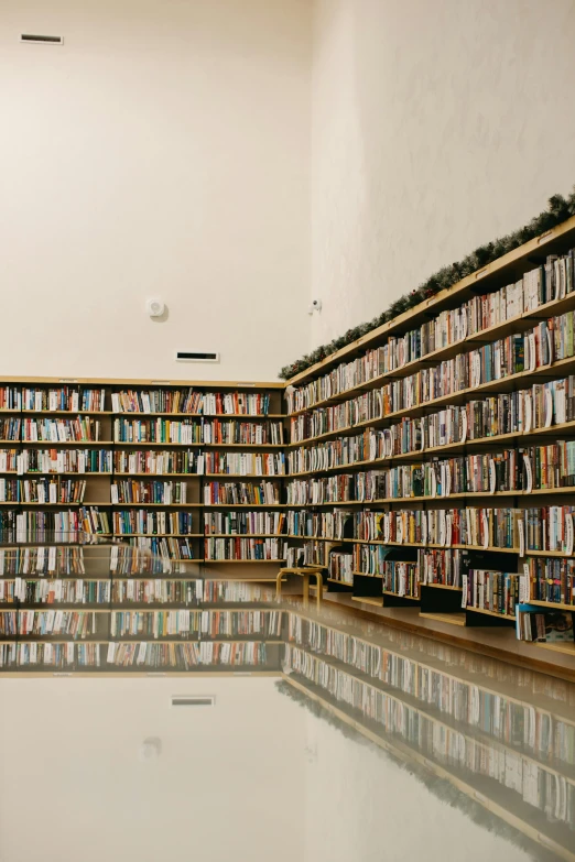 a large library filled with lots of books, an album cover, unsplash, modernism, movie photo, late 2000’s, blank, imdb