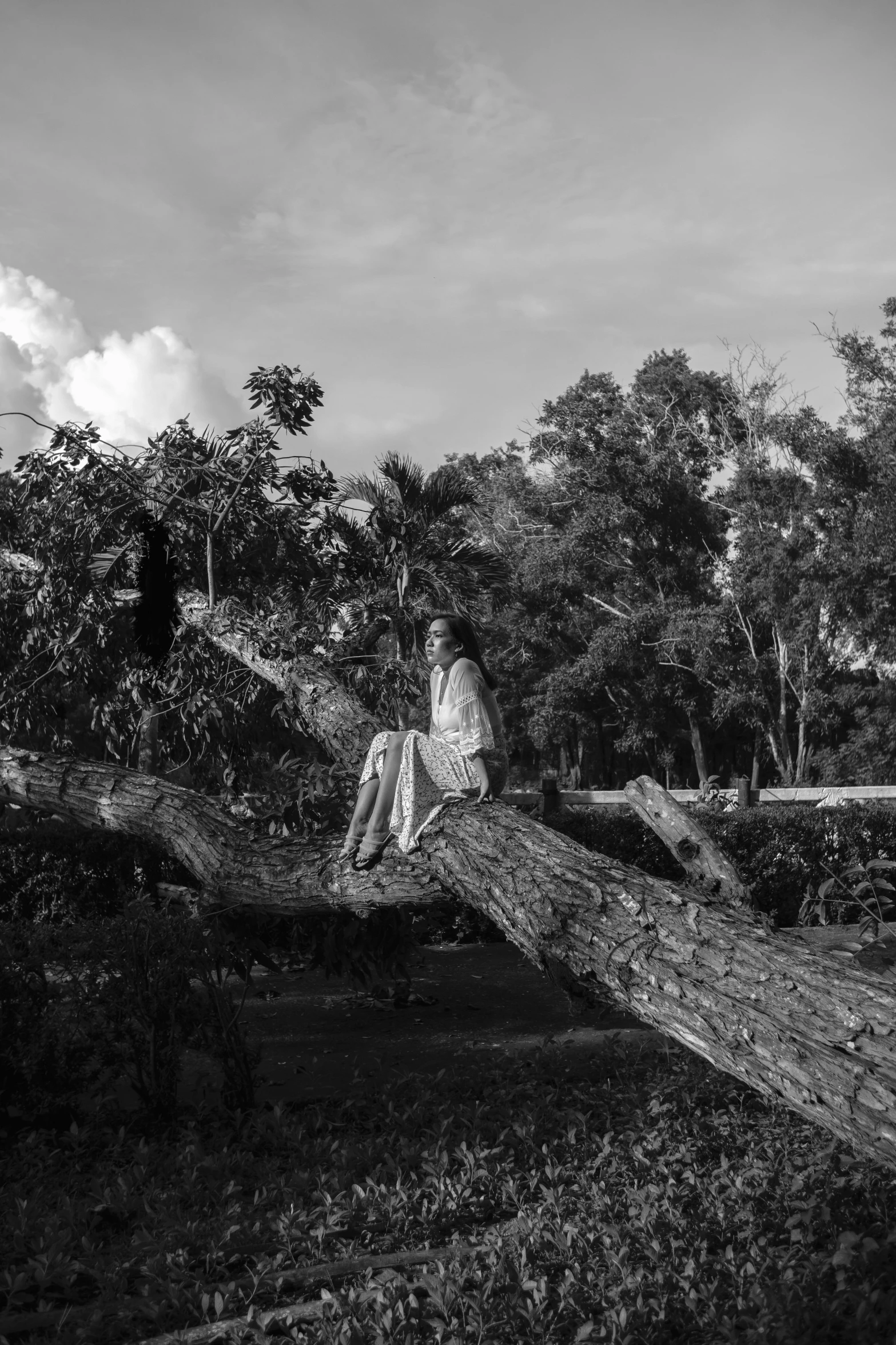 a black and white photo of a woman sitting on a fallen tree, 2010s, after the storm, kuntilanak on bayan tree, modelling
