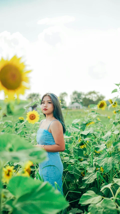 a woman standing in a field of sunflowers, an album cover, by Byron Galvez, pexels contest winner, young asian girl, trending on vsco, icon, !!! colored photography