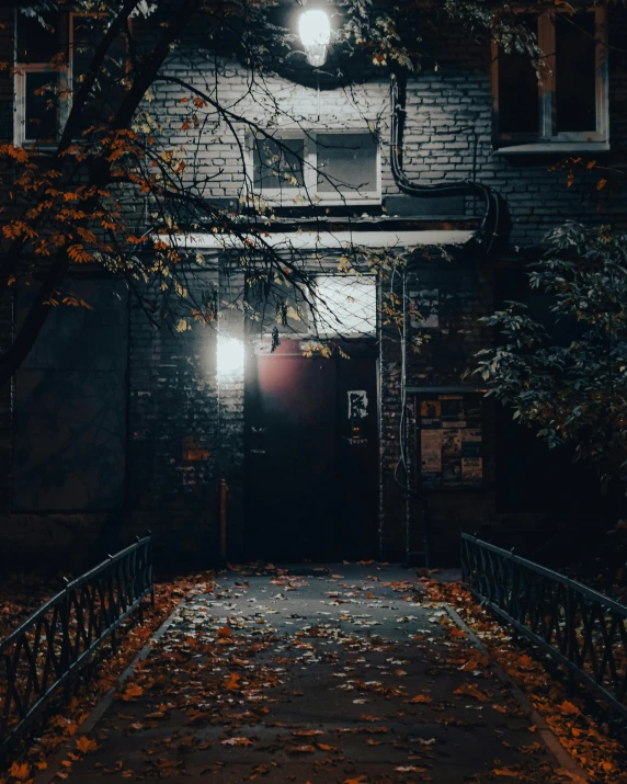 a walkway in front of a house at night, an album cover, pexels contest winner, autumn season, ☁🌪🌙👩🏾, magical soviet town, halloween night