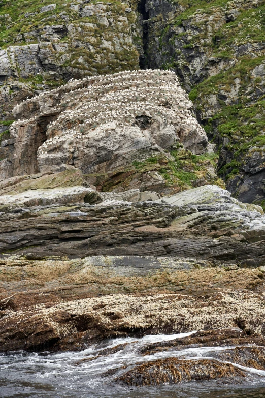 a herd of sheep standing on top of a lush green hillside, an album cover, inspired by Andy Goldsworthy, land art, rocky seashore, white bird skulls, natural cave wall, layers of strata