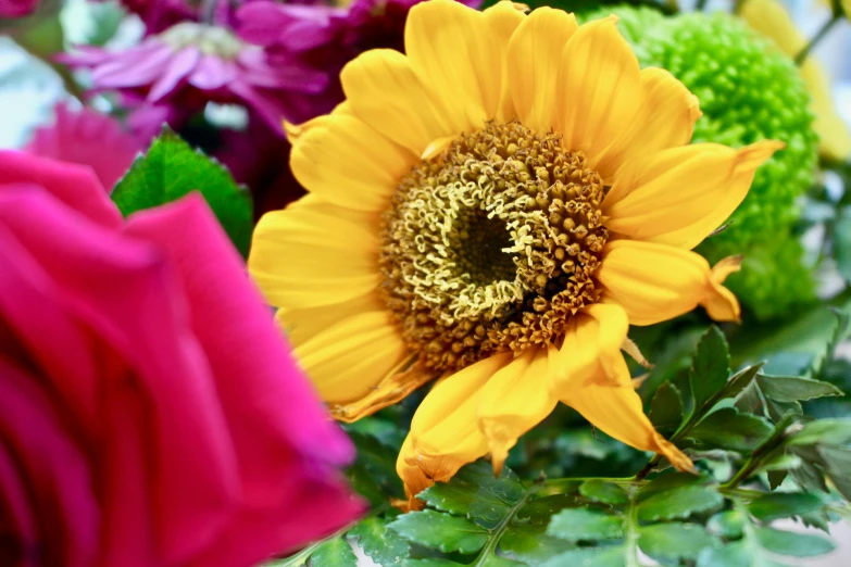 a close up of a flower in a vase, colors : yellow sunflowers, vibrant foliage, standout colours, bouquets