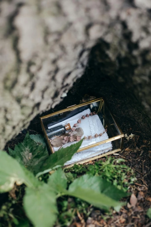 a small box sitting on the ground next to a tree, inspired by Eden Box, unsplash, reliquary, wedding photo, wolves and their treasures, discovered in a secret garden