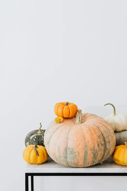 a table topped with lots of different types of pumpkins, a still life, by Carey Morris, trending on unsplash, 2 5 6 x 2 5 6 pixels, clean minimalist design, profile picture, low - angle shot