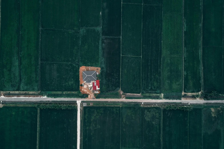 a red fire hydrant sitting on the side of a building, by Jacob Toorenvliet, unsplash contest winner, conceptual art, roads among fields, satellite view, louisiana, verdant green fields