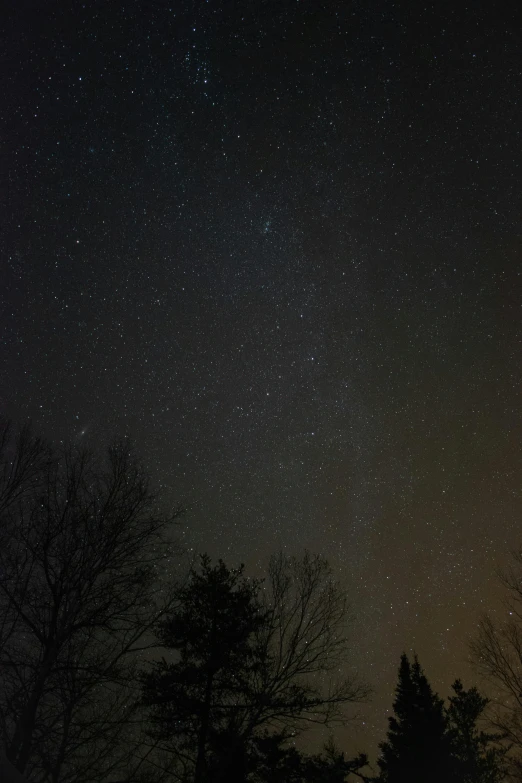 the night sky with stars and trees in the foreground, a picture, by Robert Storm Petersen, # nofilter, dark winter evening, the milk way up above, low quality photo