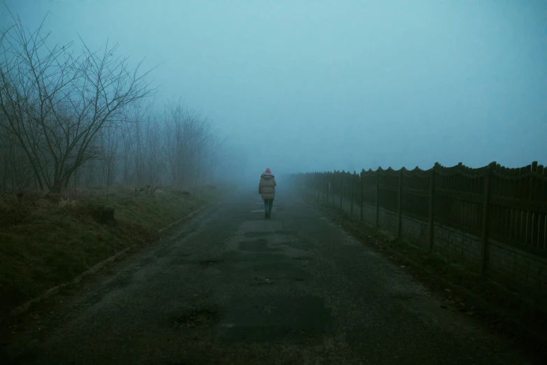 a person walking down a road on a foggy day, a picture, inspired by Elsa Bleda, pexels contest winner, romanticism, blue fog, heartbreak, silent hill, aykut aydogdu