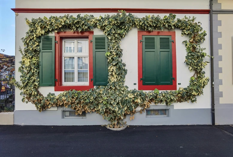 a close up of a building with green shutters, a hyperrealistic painting, inspired by Mihály Munkácsy, hyperrealism, colorful vines, switzerland, during autumn, carl friedrich