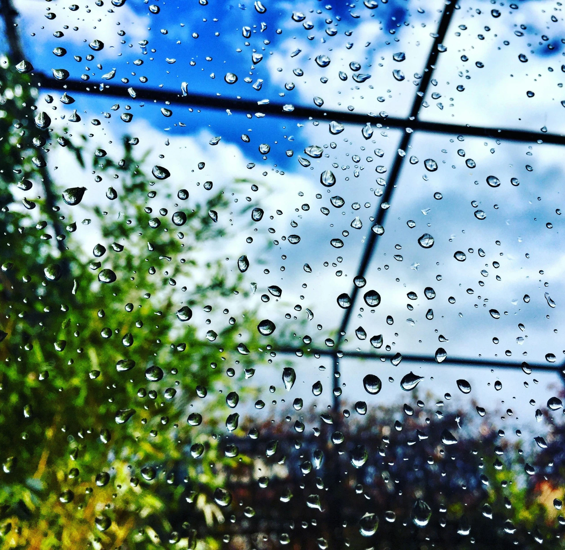 a close up of a window with raindrops on it, a picture, visual art, 👰 🏇 ❌ 🍃, glass greenhouse, gopro photo, blue sky