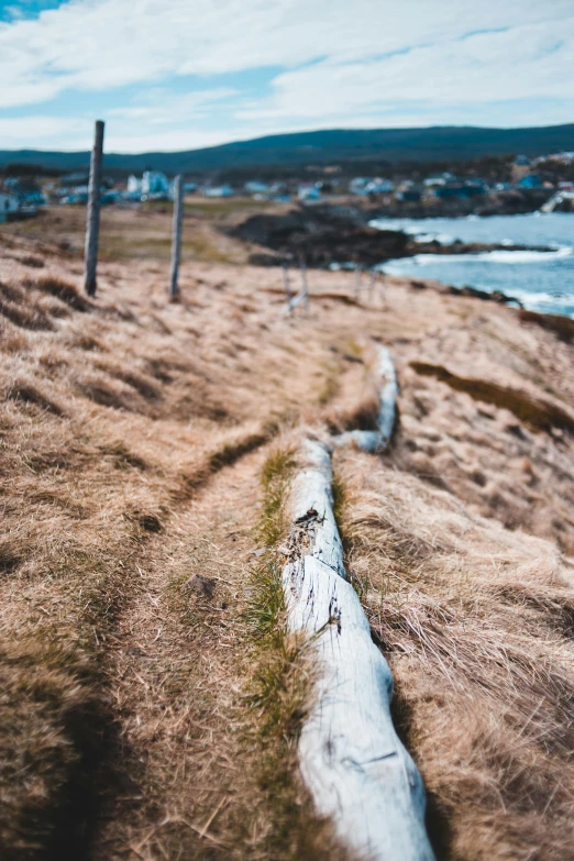 a log laying on top of a beach next to a body of water, pexels contest winner, land art, houses and roads, rocky grass field, oil lines, views to the ocean