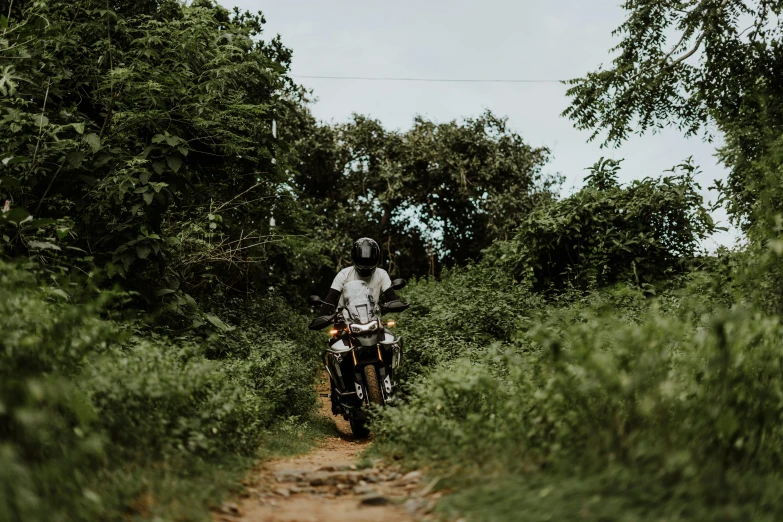 a man riding a motorcycle down a dirt road, by Carey Morris, pexels contest winner, walking through a lush jungle, screensaver, bushes in the background, avatar image