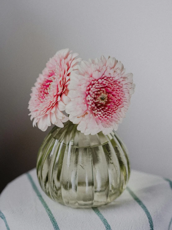 a vase filled with pink flowers sitting on top of a table, glassware, detailed product shot, striped, close body shot