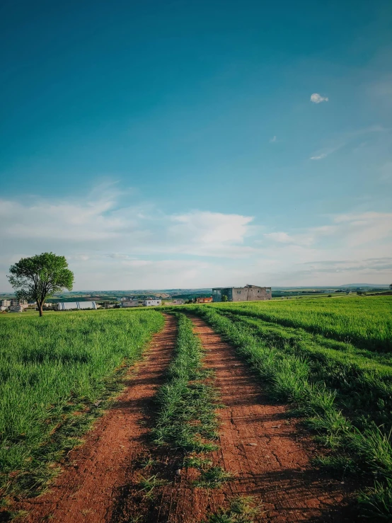 a dirt road running through a lush green field, by Lucia Peka, town in the background, cinematic image