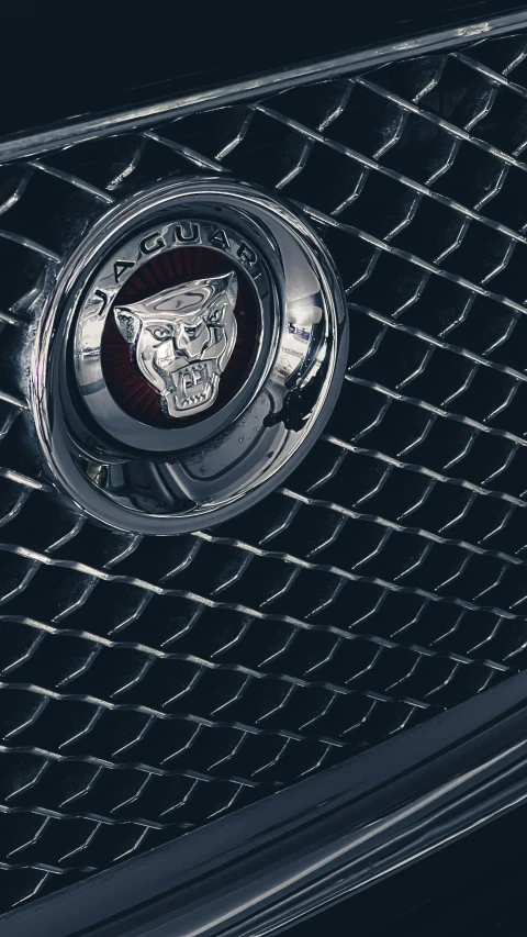 a close up of the front grill of a car, a digital rendering, by Carey Morris, trending on unsplash, renaissance, the smooth black jaguar, badge, photographed for reuters, made of metal