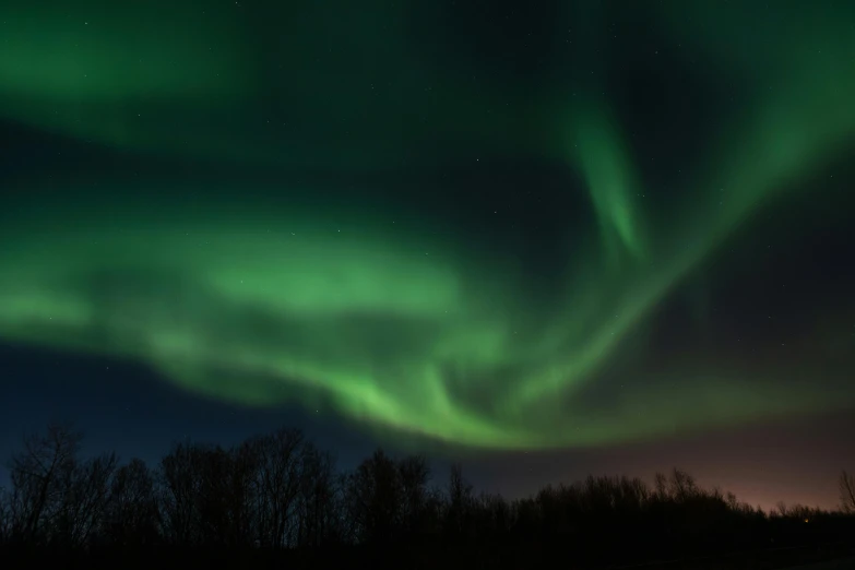 the aurora bore lights up the night sky, pexels contest winner, visual art, yeg, beautiful natural soft light, green sky, grey