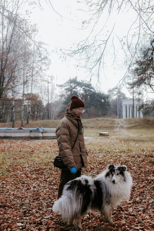 a woman walking two dogs in a park, an album cover, by Emma Andijewska, unsplash, visual art, two finnish lapphunds, late autumn, ai weiwei and gregory crewdson, handsome girl